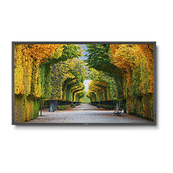 MultiSync X554HB 55" Display