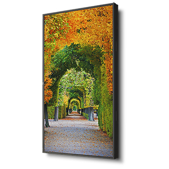 MultiSync X554HB 55" Display