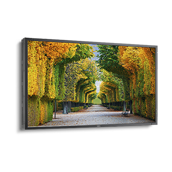 MultiSync X554HB 55" Display