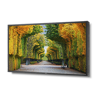 MultiSync X554HB 55" Display