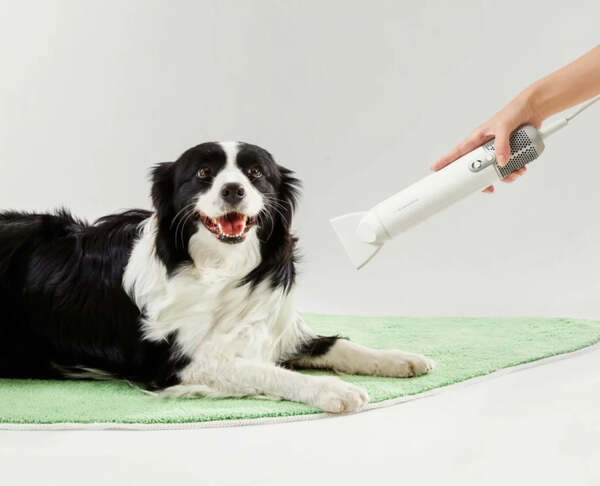 NEAKASA F1 Pet Hair Dryer
