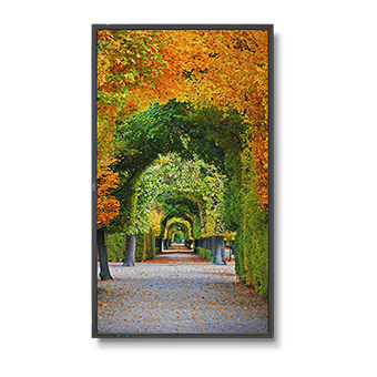 MultiSync X554HB 55" Display