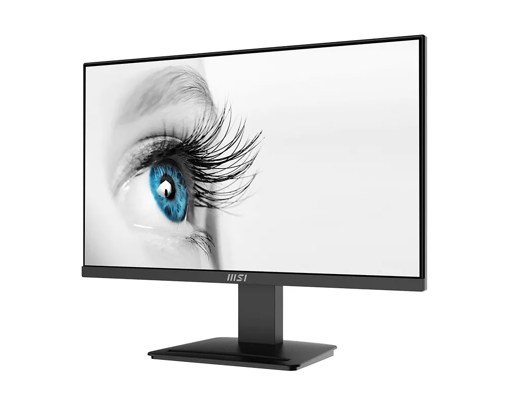 MSI PRO MP2412DE, LED monitor - 24 -  black, FullHD, AMD Free-Sync, HDMI, 100Hz panel