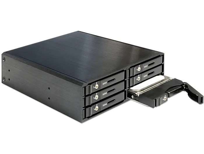 Delock External Enclosure 6x2-5- SATA HDD