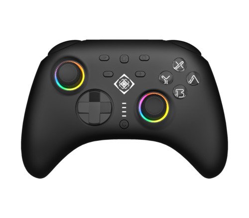 Deltaco Gaming   Tr&aring;dl&ouml;s Switch 2-handkontroll med C-knapp, RGB-belysning och makroknappar &ndash; svart