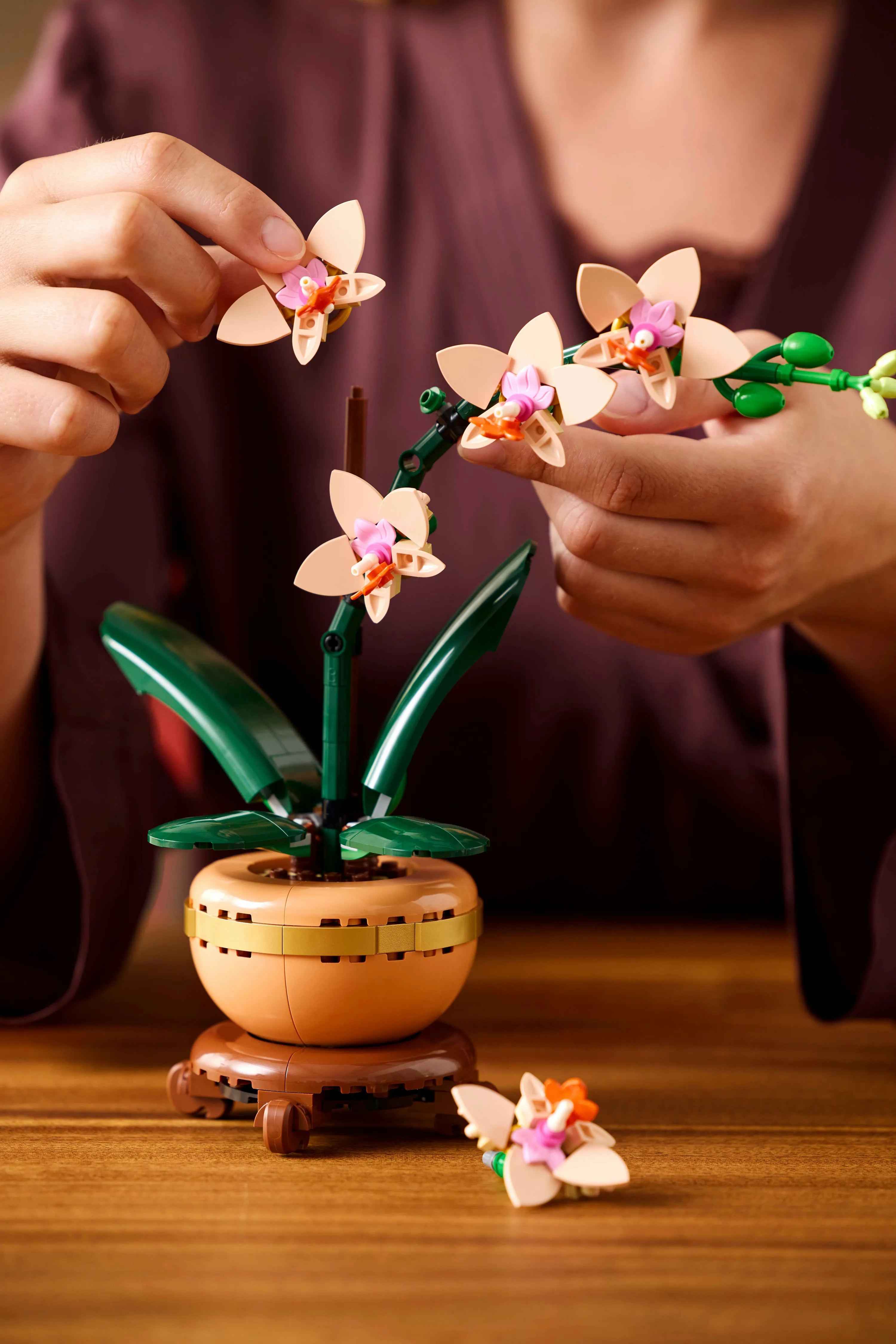 LEGO Botanicals Mini Orkidé 10343 LEGO Botanicals Mini Orkidé 10343