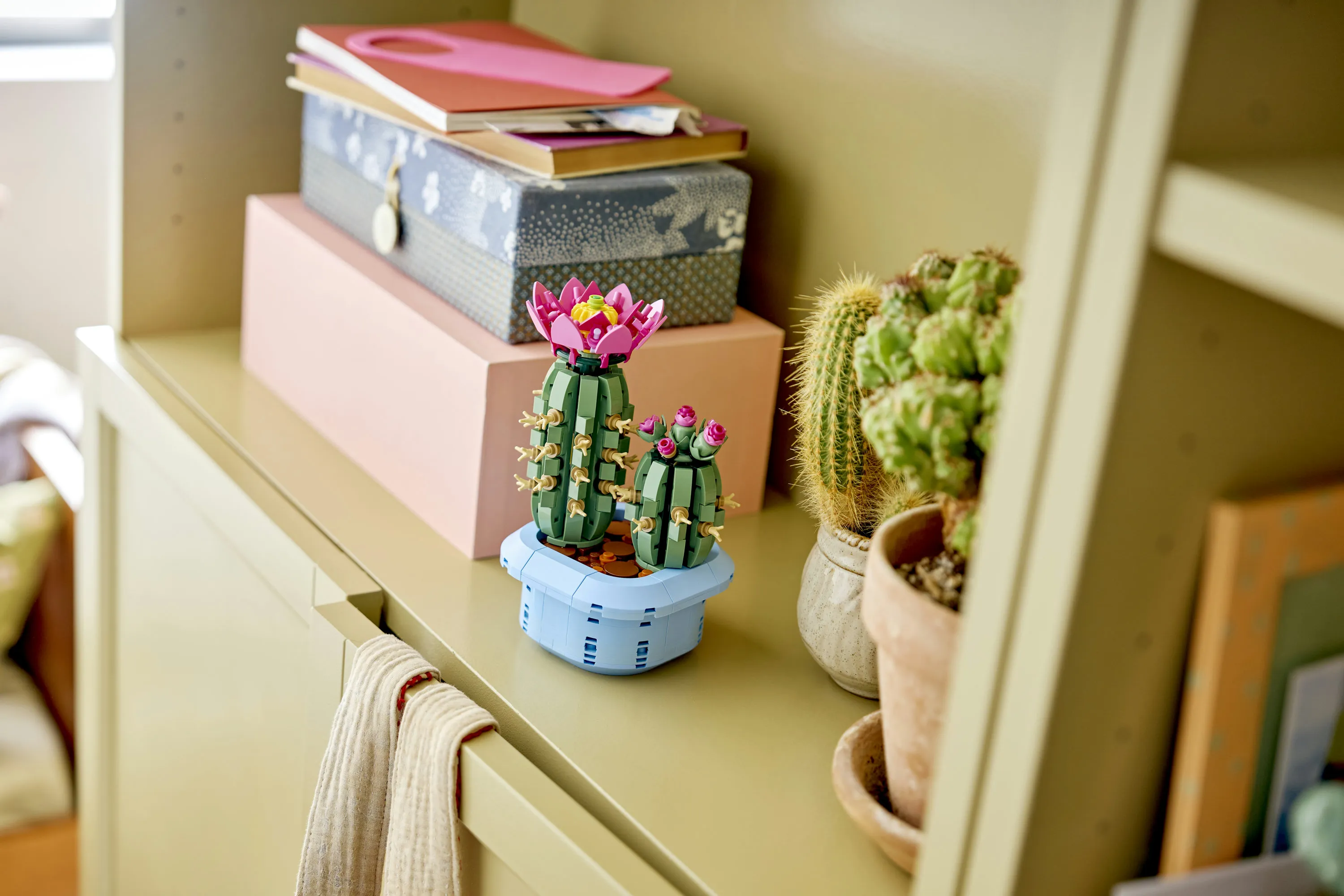 LEGO Botanicals Blooming Cactus 11509