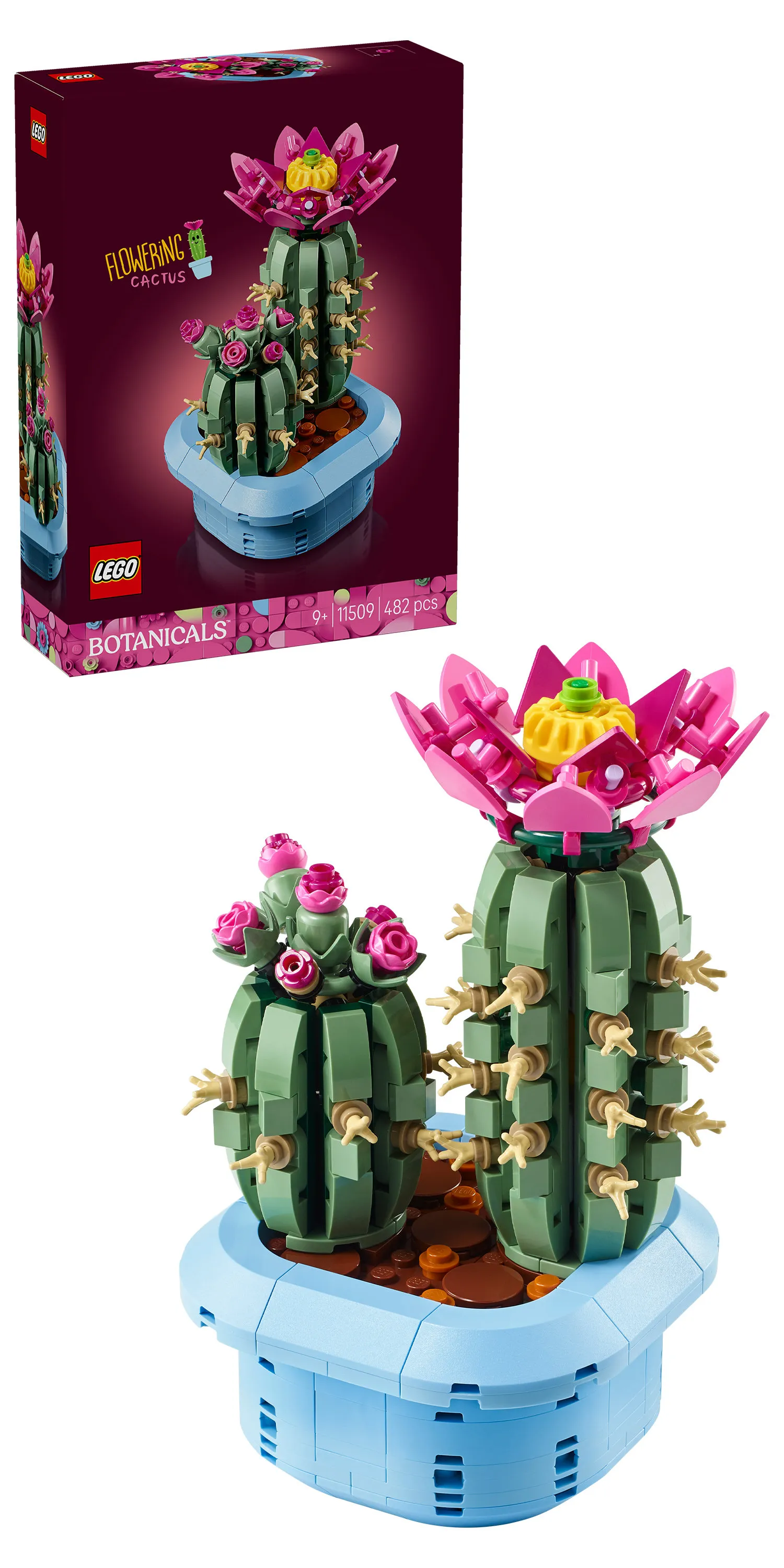 LEGO Botanicals Blooming Cactus 11509