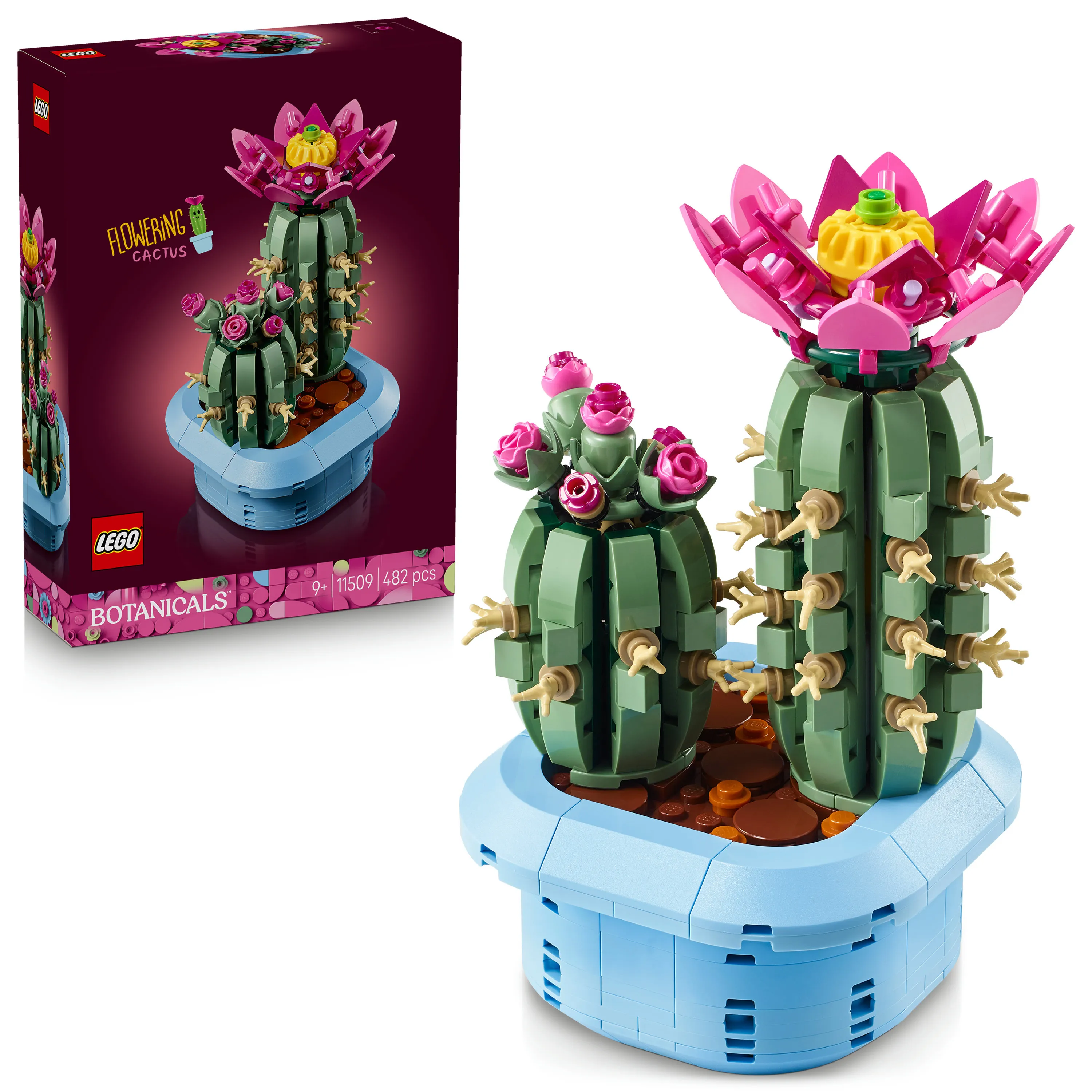 LEGO Botanicals Blooming Cactus 11509