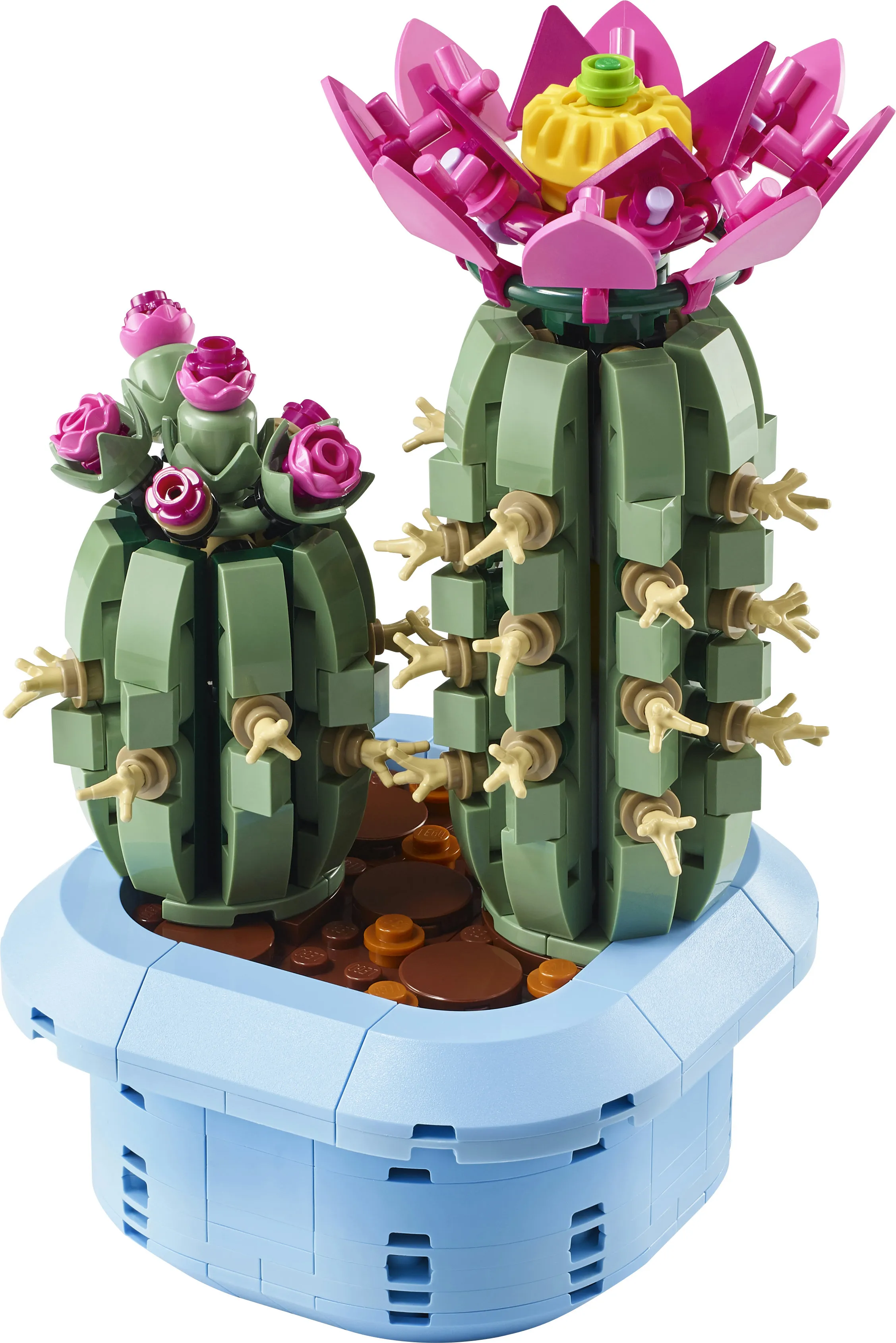 LEGO Botanicals Blooming Cactus 11509