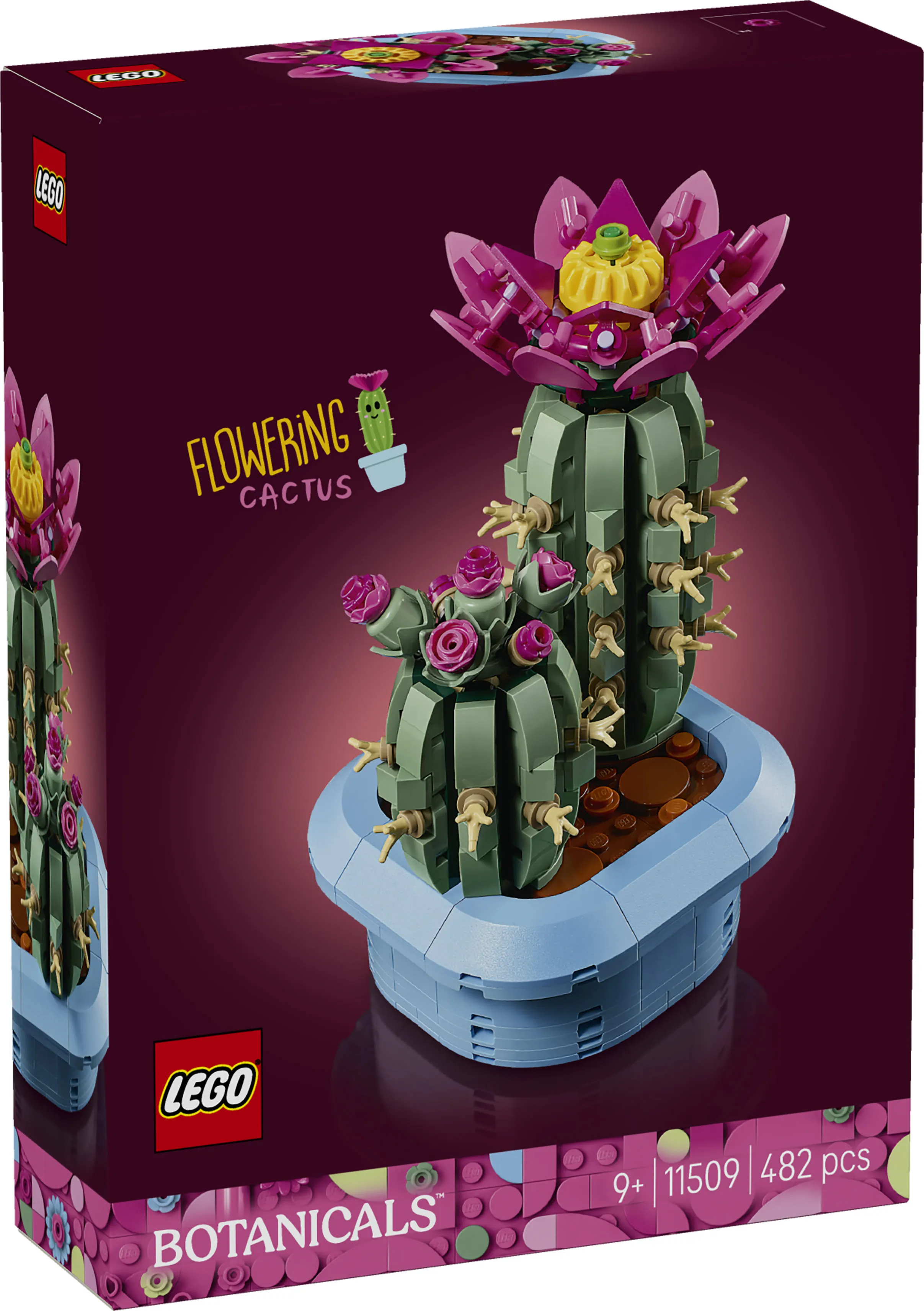 LEGO Botanicals Blooming Cactus 11509