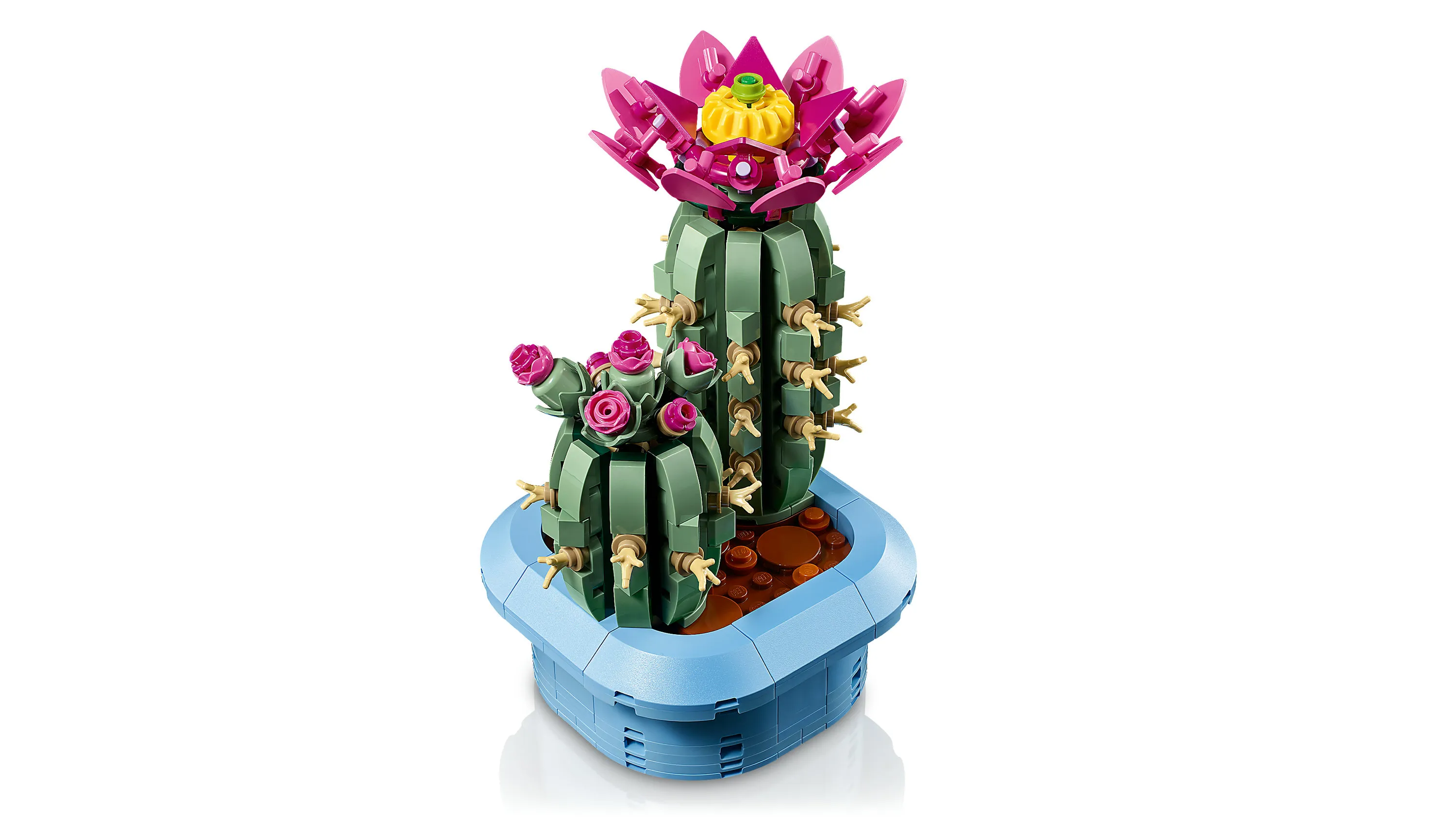 LEGO Botanicals Blooming Cactus 11509
