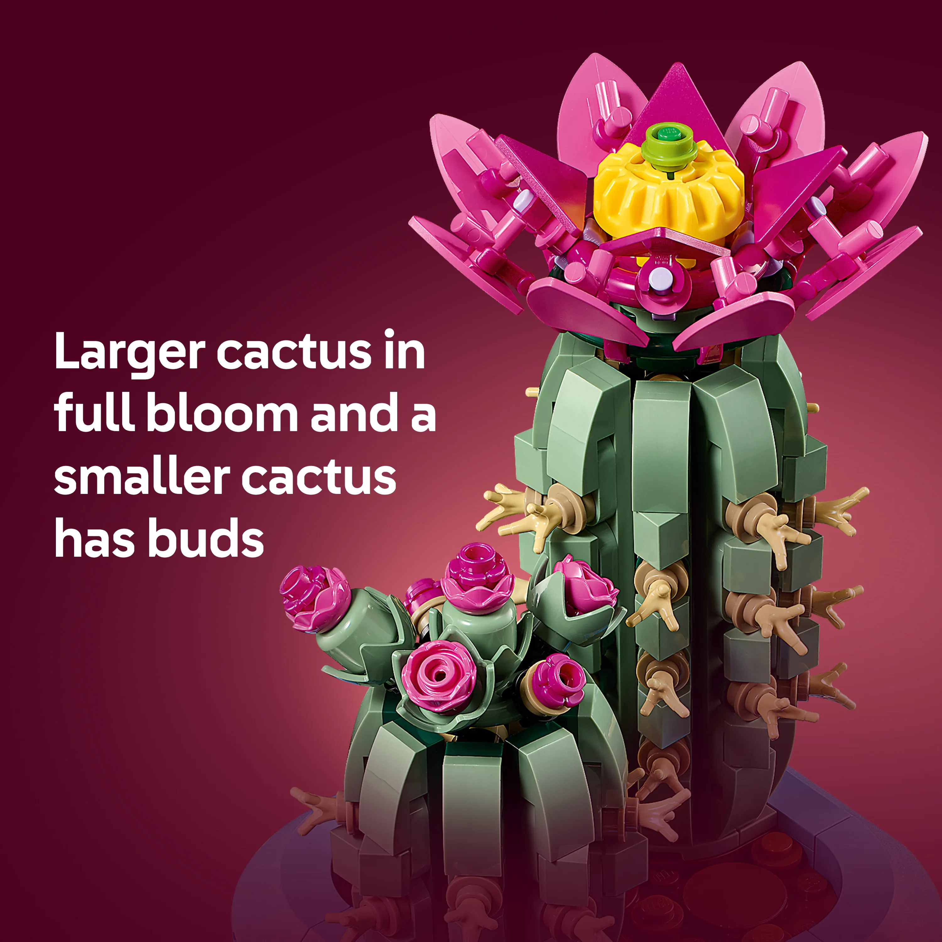 LEGO Botanicals Blooming Cactus 11509