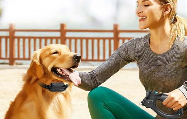 ROJECO PD800 Electronic Bark-Control and Training Collar for Dogs, Black