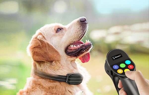 ROJECO PD800 Electronic Bark-Control and Training Collar for Dogs, Black