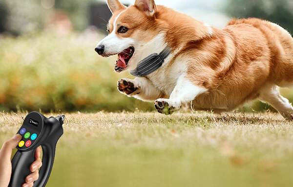 ROJECO PD800 Electronic Bark-Control and Training Collar for Dogs, Black