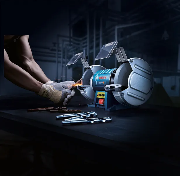 Bosch GBG 60-20 Professional, double grinding&nbsp;(blue / black, 600 watts)