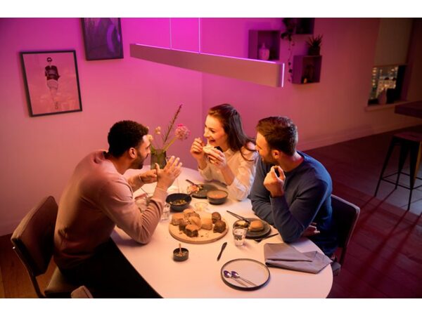 Philips HUE ENSIS PENDANT WHITE 2X39W 24V