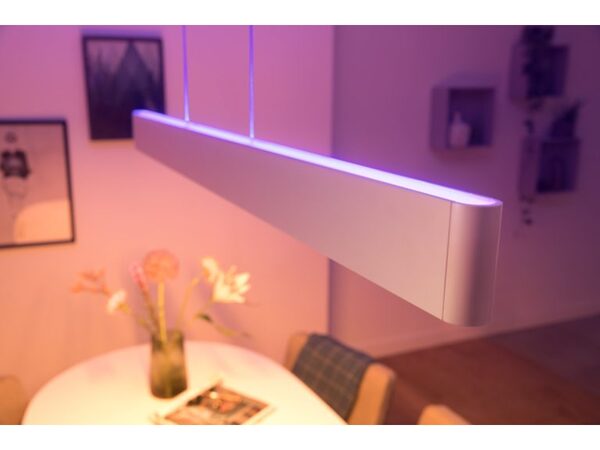 Philips HUE ENSIS PENDANT WHITE 2X39W 24V