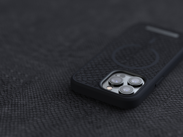 NORDIC ELEMENTS Salmon Case iPhone 13 Pro Grey