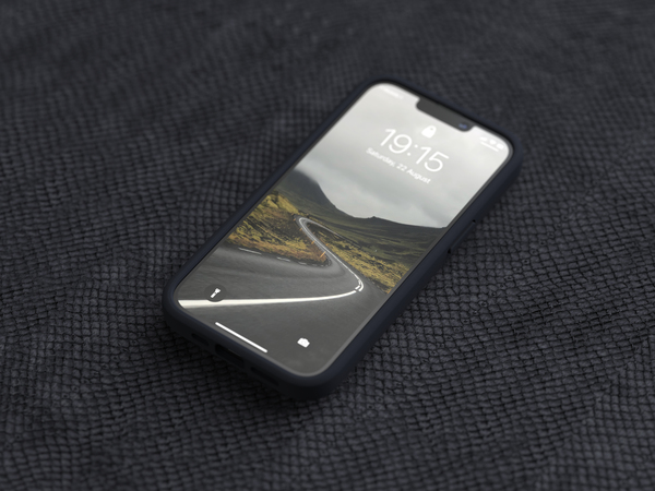 NORDIC ELEMENTS Salmon Case iPhone 13 Pro Grey