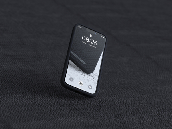 NORDIC ELEMENTS Salmon Case iPhone 13 Pro Grey