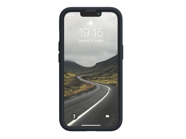 NORDIC ELEMENTS Salmon Case iPhone 13 Pro Grey