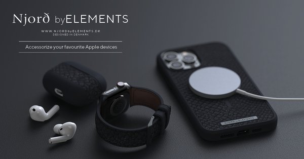 NORDIC ELEMENTS Salmon Case iPhone 13 Pro Grey