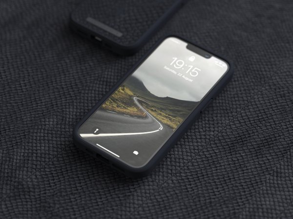 NORDIC ELEMENTS Salmon Case iPhone 13 Pro Grey