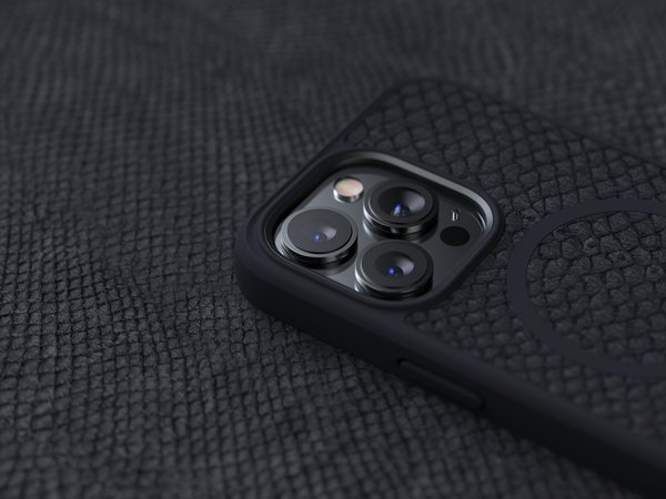NORDIC ELEMENTS Salmon Case iPhone 13 Pro Grey