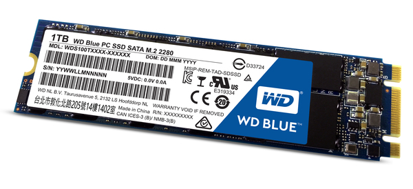 WD 1TB, 525/545 MB/s -SSD-levy M.2, sininen