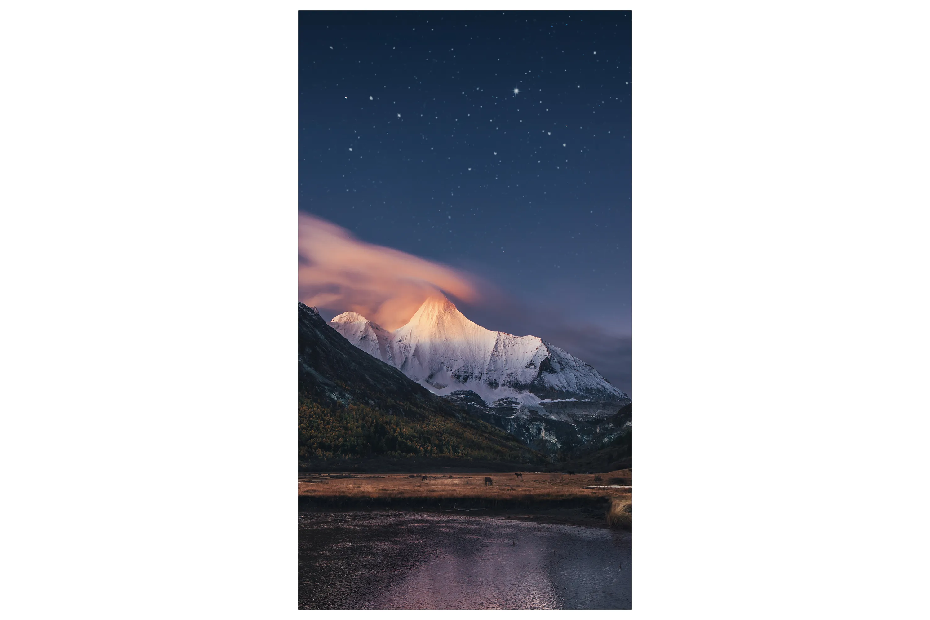 SAMSUNG 55&quot; VM55C-R FHD 500 NITS 24/7 VIDEOWALL 0.88MM BEZEL