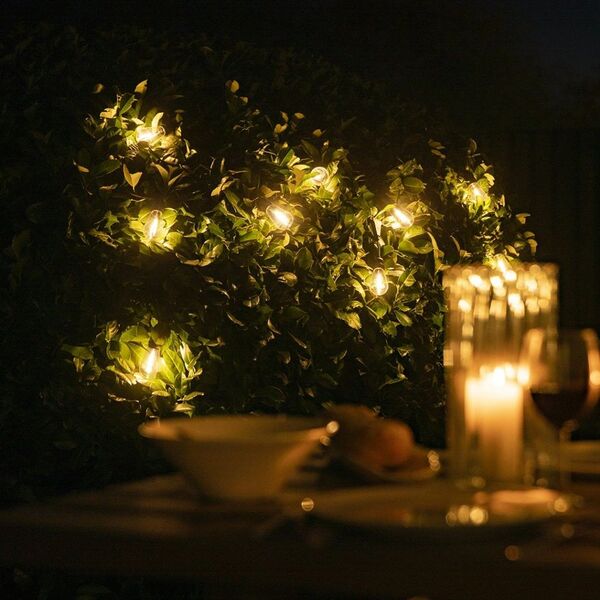 Lite bulb moments Smart Light Chain - Vintage Edison