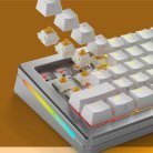 Glorious Mechanical  Switches (36pcs) - Panda Silent - [Tactile] 50g