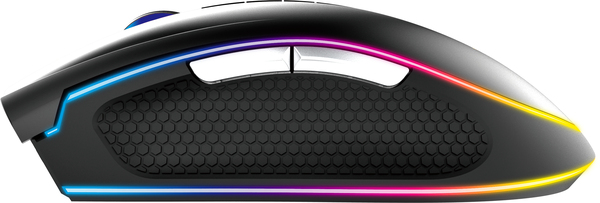 Gamdias Zeus P1 RGB - mouse, Black