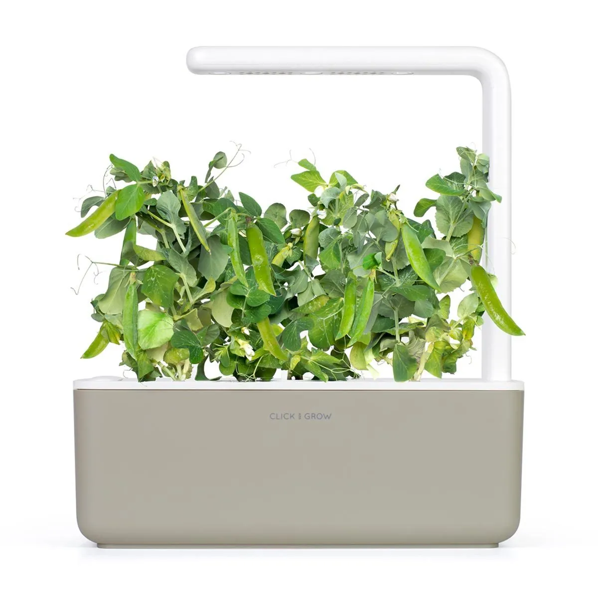 Click and Grow Smart Garden Refill 3-pack - Dwarf Pea