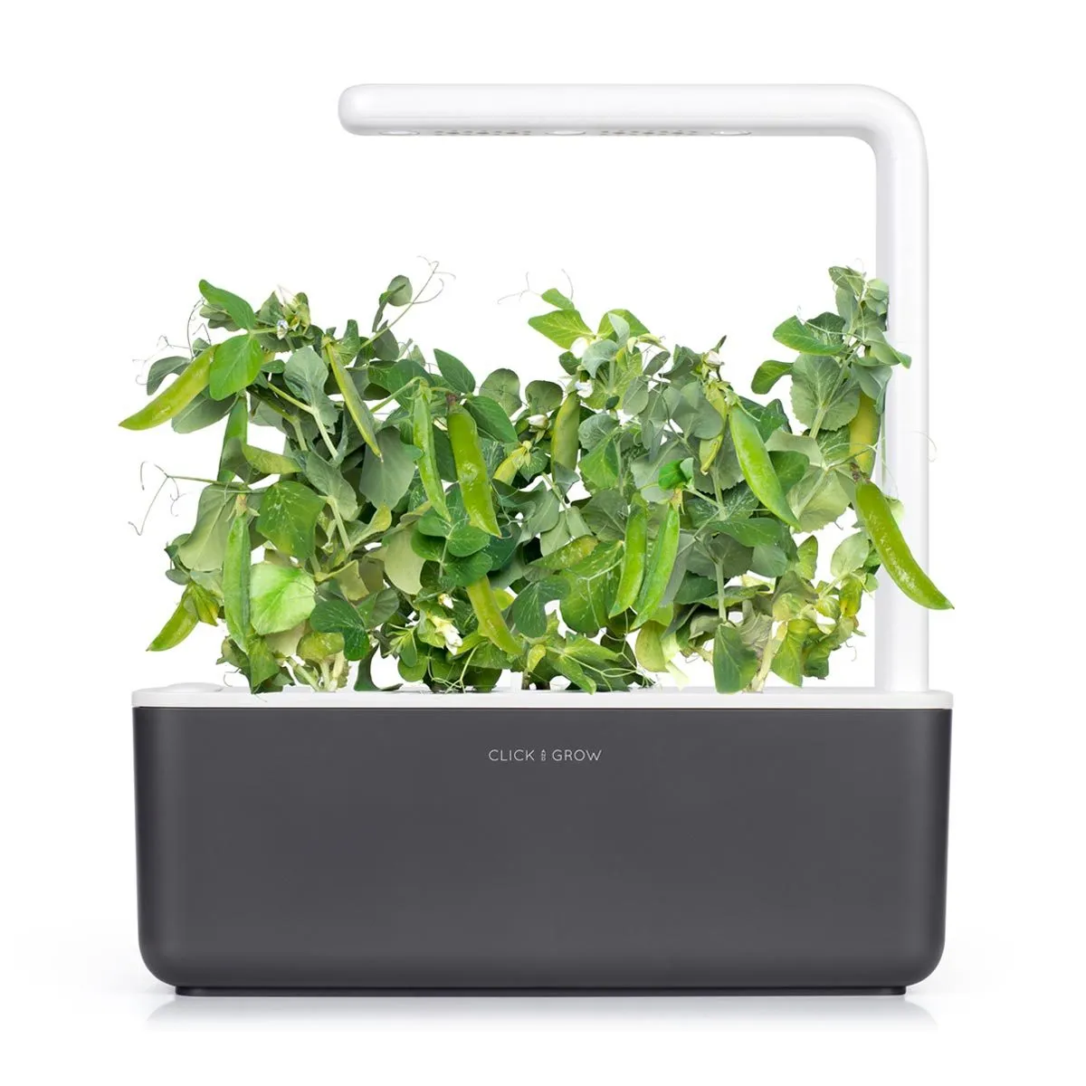 Click and Grow Smart Garden Refill 3-pack - Dwarf Pea