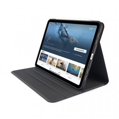 Pipetto iPad Pro 11 (2024) Rotating folio - case, black