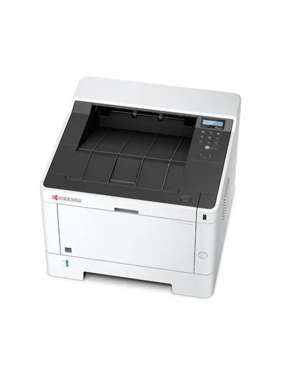 ECOSYS P2040dn