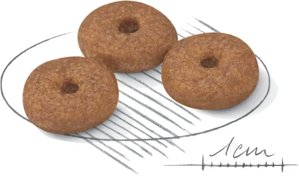 Royal Canin Mini Ageing 12+, Koiran kuivaruoka, 3,5 kg