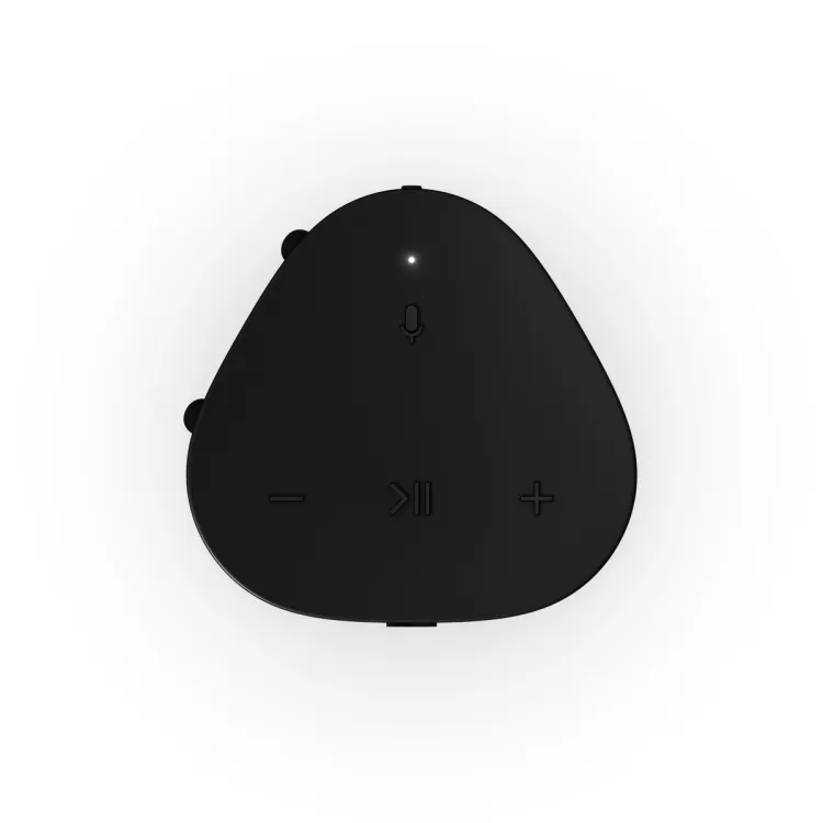 Roam 2 (Black) Portable Speaker