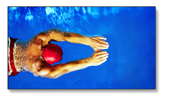 NEC 55" X554UNS 16:9 S-PVA 1920X1080