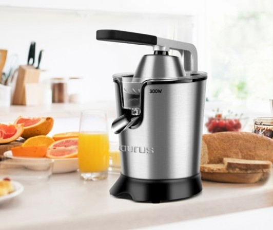 Taurus 300W, 0,65L -juicer, silver