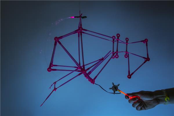 Quirkbot Robotic Creatures Kit