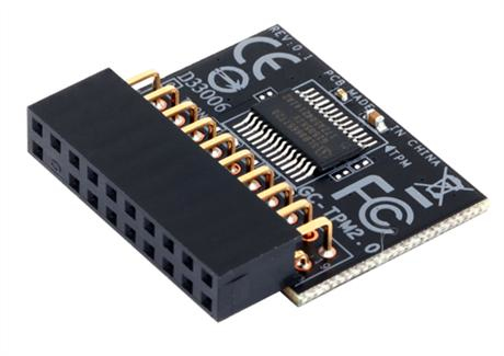 Gigabyte TPM-modul 2.0