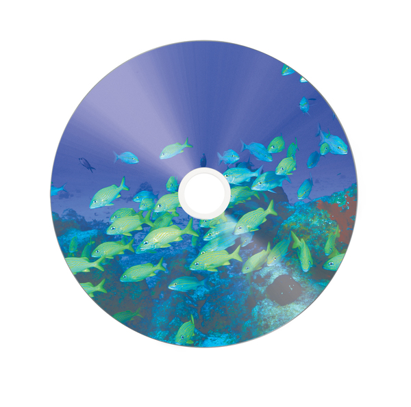 CD-R AZO, 52X, Wide Printable (50)