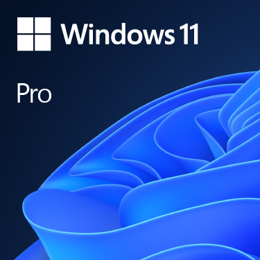 Microsoft Windows 11 Pro 64-bit -operating system, Swedish, USB