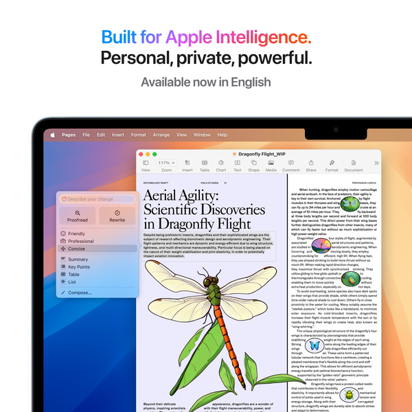 Apple MacBook Air 15&quot; M4 (10/10) 24 Gt, 512 Gt -kannettava, Keskiy&ouml;, MC6L4