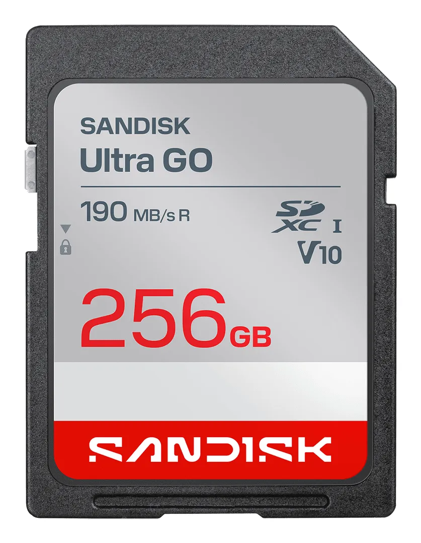 SanDisk Ultra GO 256 GB SD UHS-I Class 10 U1 kort
