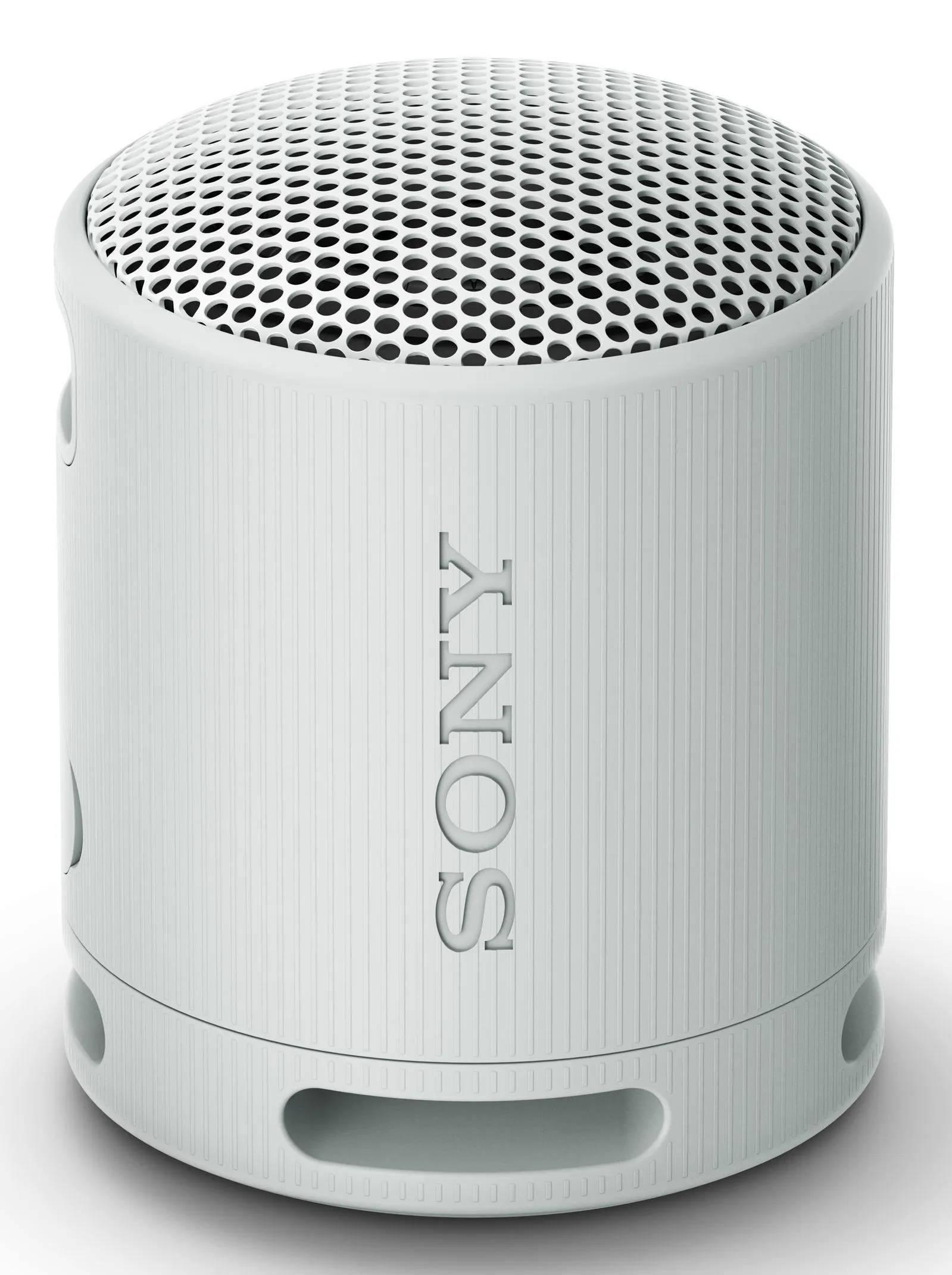 SONY SRSXB100H.CE7 wireless speaker Grey